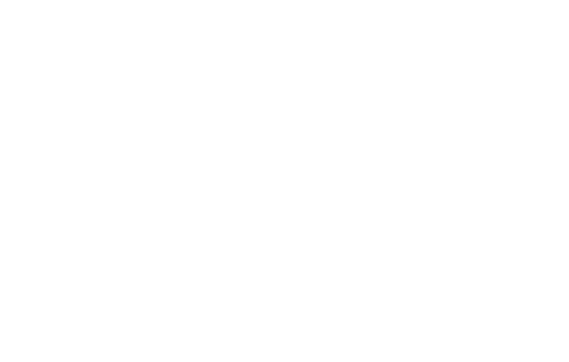 logo-pallazzolli